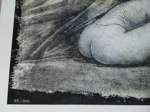 Ernst Fuchs - " Vorhang auf " - Giclée op linnen 2012 - handgesigneerd - 0plage 300 kopen? Bied vanaf 99!