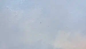 Conrad van Reken - Olieverf op doek, Waterlandschap kopen? Bied vanaf 120!