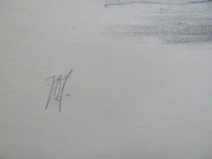 Peter Vos - Geit en vogel kopen? Bied vanaf 90!