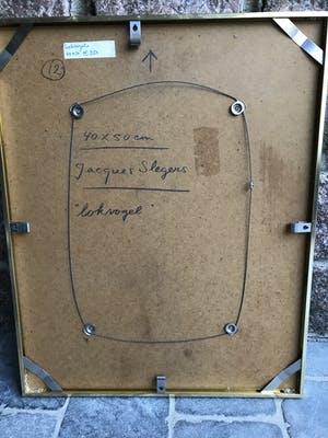 Jacques Slegers - Lokvogel kopen? Bied vanaf 70!