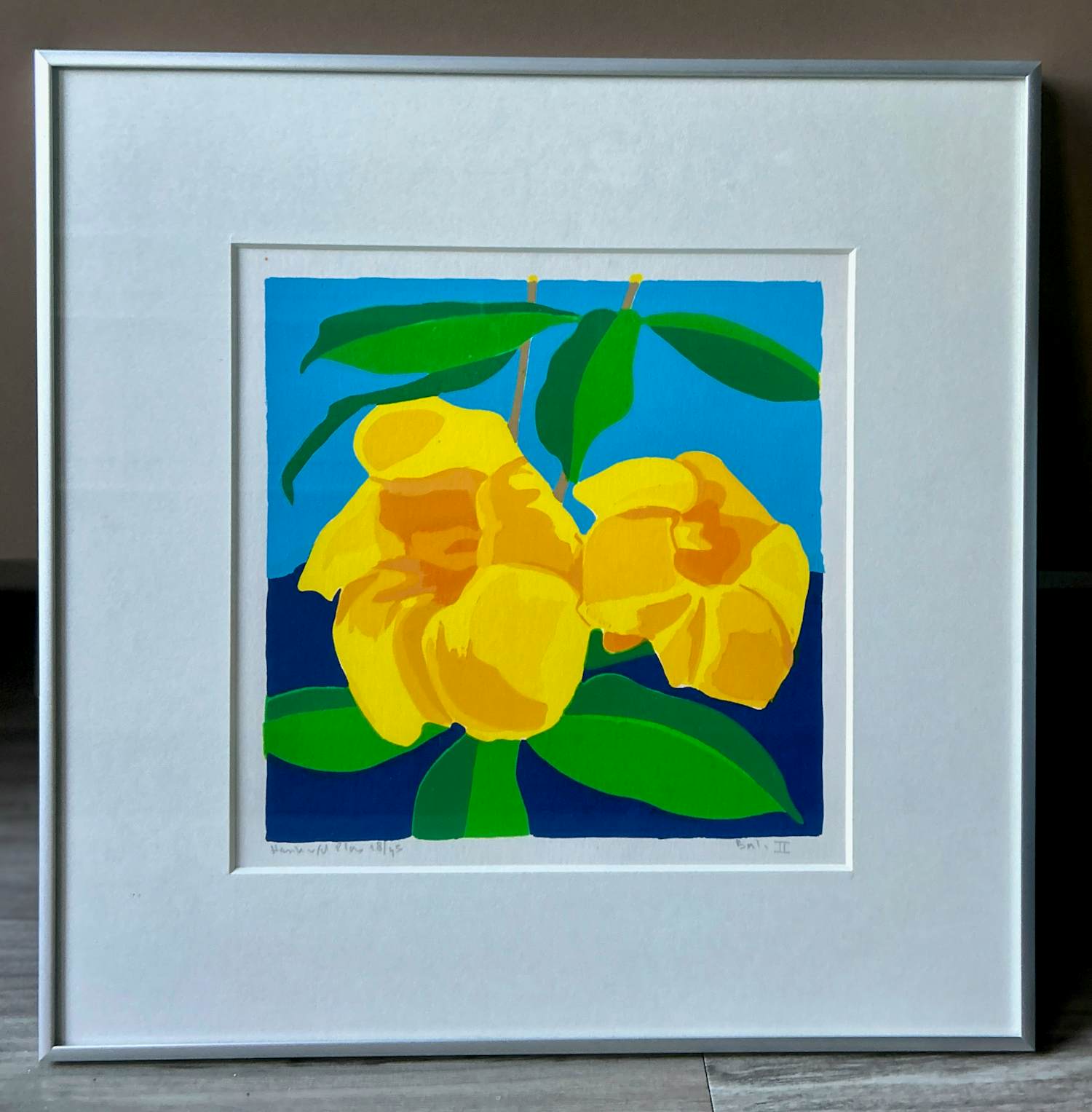 Henk van der Plas - Bali II kopen? Bied vanaf 55!