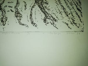 Carst Lulofs - Woekering kopen? Bied vanaf 15!