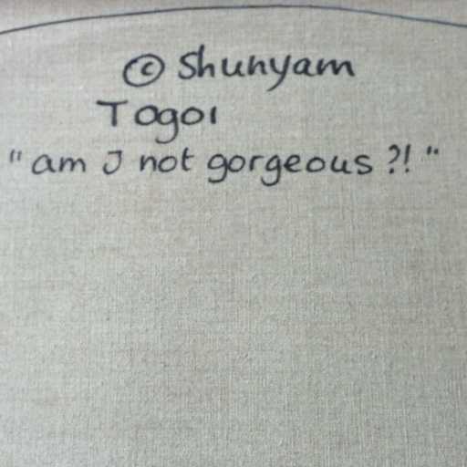 Shunyam - "am I not gorgeous", schilderij handgesigneerd kopen? Bied vanaf 75!