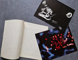 Livinus van de Bundt - genummerde catalogus"Livinus fotopeinture 1959" met originele negatieven! kaufen? Bieten Sie von 30!