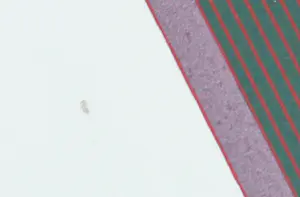 Gordon House - Zeefdruk, Zonder titel kopen? Bied vanaf 60!