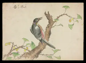 Niet of onleesbaar gesigneerd - 19e eeuwse Houtdruk, Vogel op tak kopen? Bied vanaf 1!