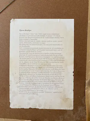 Pjeroo Roobjee - Superbaby kopen? Bied vanaf 35!