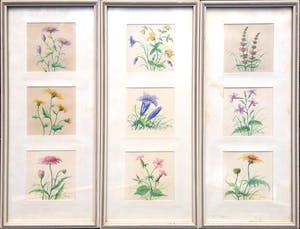 Niet of onleesbaar gesigneerd - Aquarel - lot van 3 x 3 bloemtekeningen kopen? Bied vanaf 1!