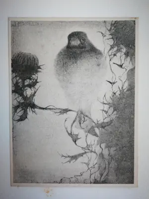 Jan Mankes - Heliogravure. Vogel. kopen? Bied vanaf 1!