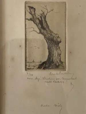 Dirk Baksteen - Rode Wilg kopen? Bied vanaf 40!