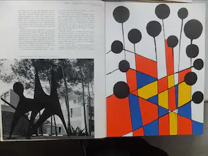 Yaacov Agam - XX siecle uit 1971 no. 37 kopen? Bied vanaf 200!