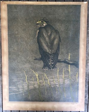 Chris Le Roy - Vogel; Valk kopen? Bied vanaf 10!