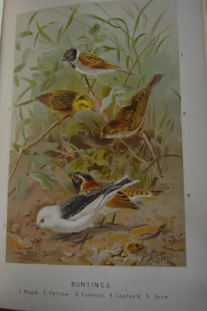 Antiquarisch Boek - The Royal Natural History (6 delen compleet) 1893 kopen? Bied vanaf 175!