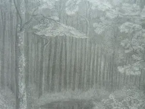 Simon Moulijn - BOSCHGEZICHT kopen? Bied vanaf 30!