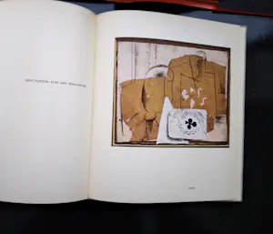 Pablo Picasso - Unbekante Gemalde und Zeichungen + OOG in OOG kopen? Bied vanaf 70!