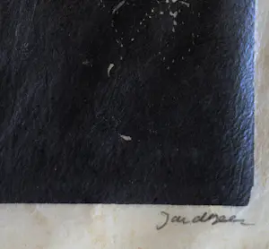 Jac. de Beer - Dahlia kopen? Bied vanaf 40!