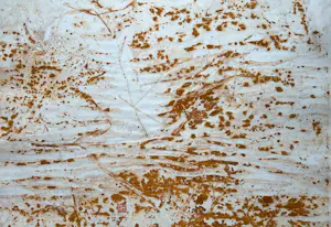 Theo Niermeijer - Zonder titel kopen? Bied vanaf 50!