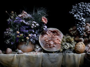 Arnold Mariashin - Still Life II kopen? Bied vanaf 125!