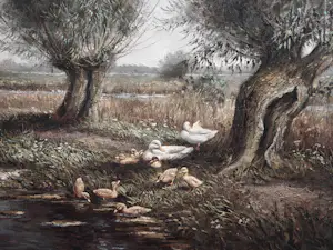 Henk Roosink - Eenden in polderlandschap kopen? Bied vanaf 195!
