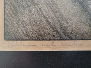 Aart van Dobbenburgh - Plant in bloempot. kopen? Bied vanaf 75!