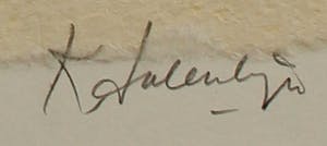 Kees Salentijn - Litho: Uil kopen? Bied vanaf 55!