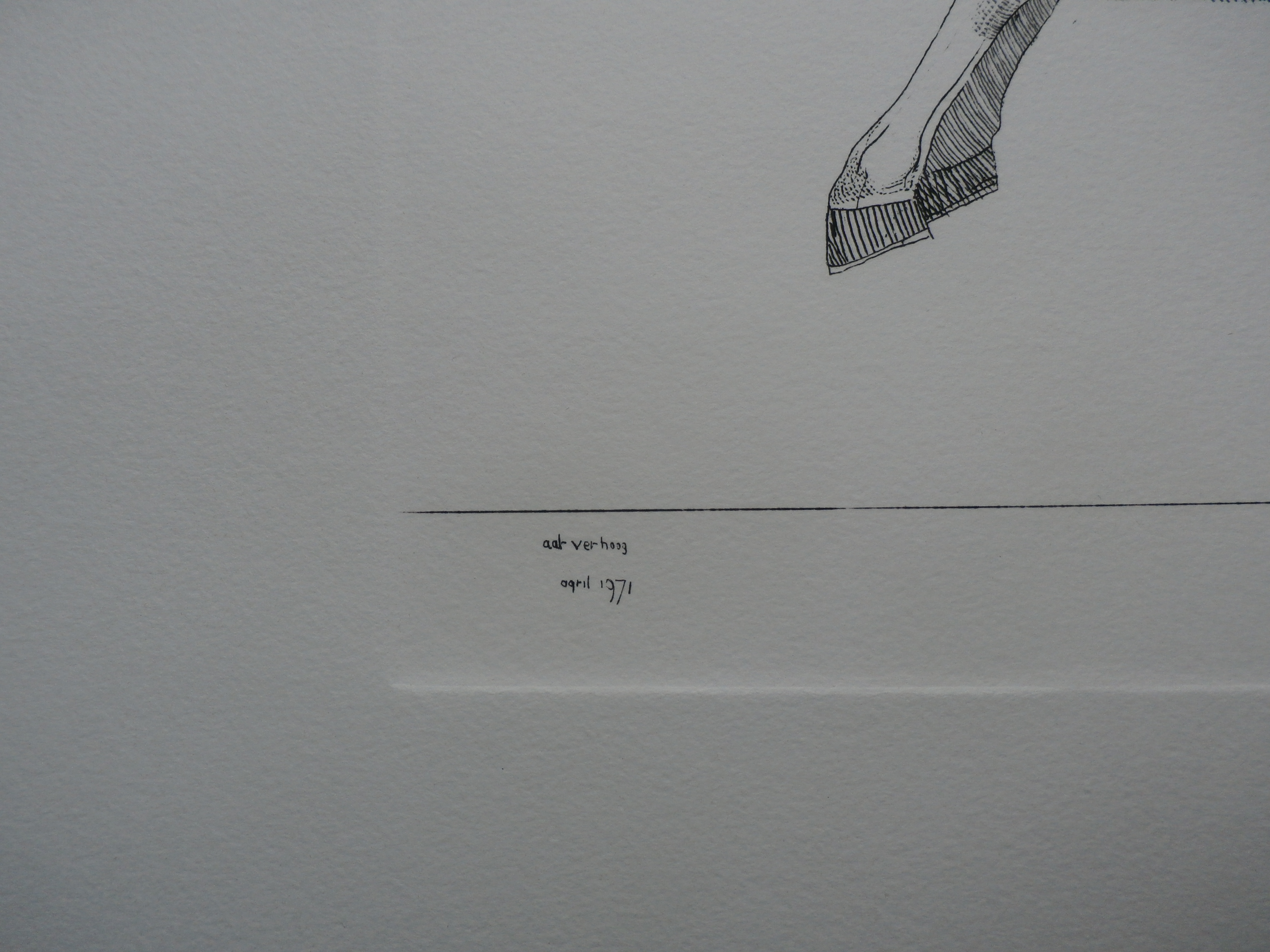 Aat Verhoog - paard - 1971 kopen? Bied vanaf 50!