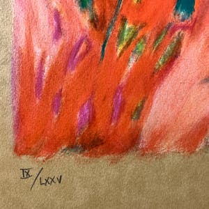 Claudia Steine - Lady in Red I kopen? Bied vanaf 25!