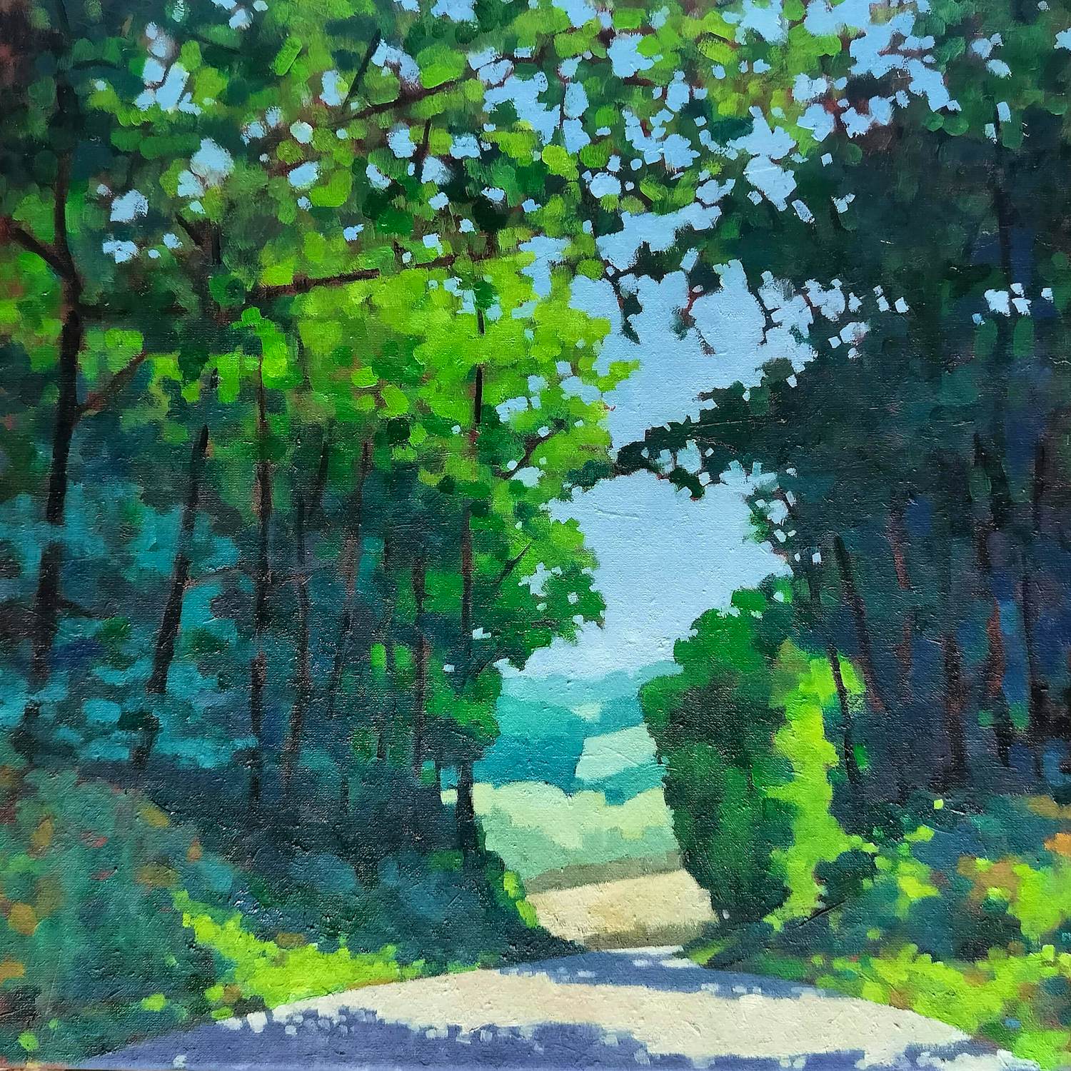 Willem Visser - De weg naar Douzains kopen? Bied vanaf 190!