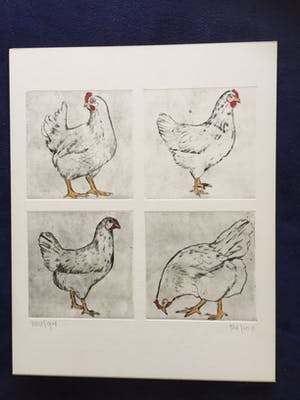 Martien Versteegen - Kippen kopen? Bied vanaf 35!