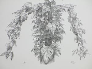 Peter Vos - Uil in boomtop - Litho kopen? Bied vanaf 100!