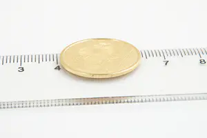 74 - Gouden (900/1000) Rembrandt 10€ herdenkingsmunt - Kon. Ned. Munt 2006 kopen? Bied vanaf 120!