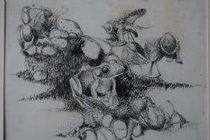 Pim Olivier - litho - Insekten met kikker kopen? Bied vanaf 40!