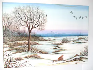 Ari Stolk - Patrijzen en eenden in winterlandschap kopen? Bied vanaf 159!