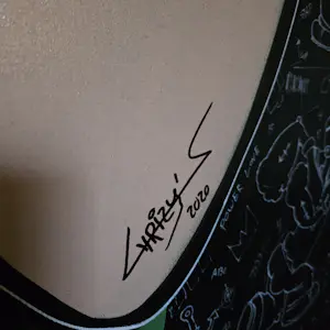 Christian van Hedel - See this is all you need kopen? Bied vanaf 20!