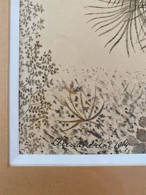 Alexandrine - Palmbomen kopen? Bied vanaf 100!