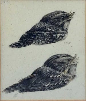 Peter Vos - C3616 - Twee bosuiltjes kopen? Bied vanaf 150!