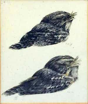 Peter Vos - C3616 - Twee bosuiltjes verkocht voor € 150!