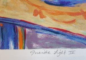 Christaphora Robeers - Inside Light IV kopen? Bied vanaf 20!