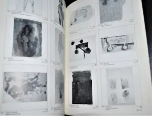 Joseph Beuys - Een gesprek, gesign. Frits Bless (met granolitho) - en 5 andere boeken kopen? Bied vanaf 75!