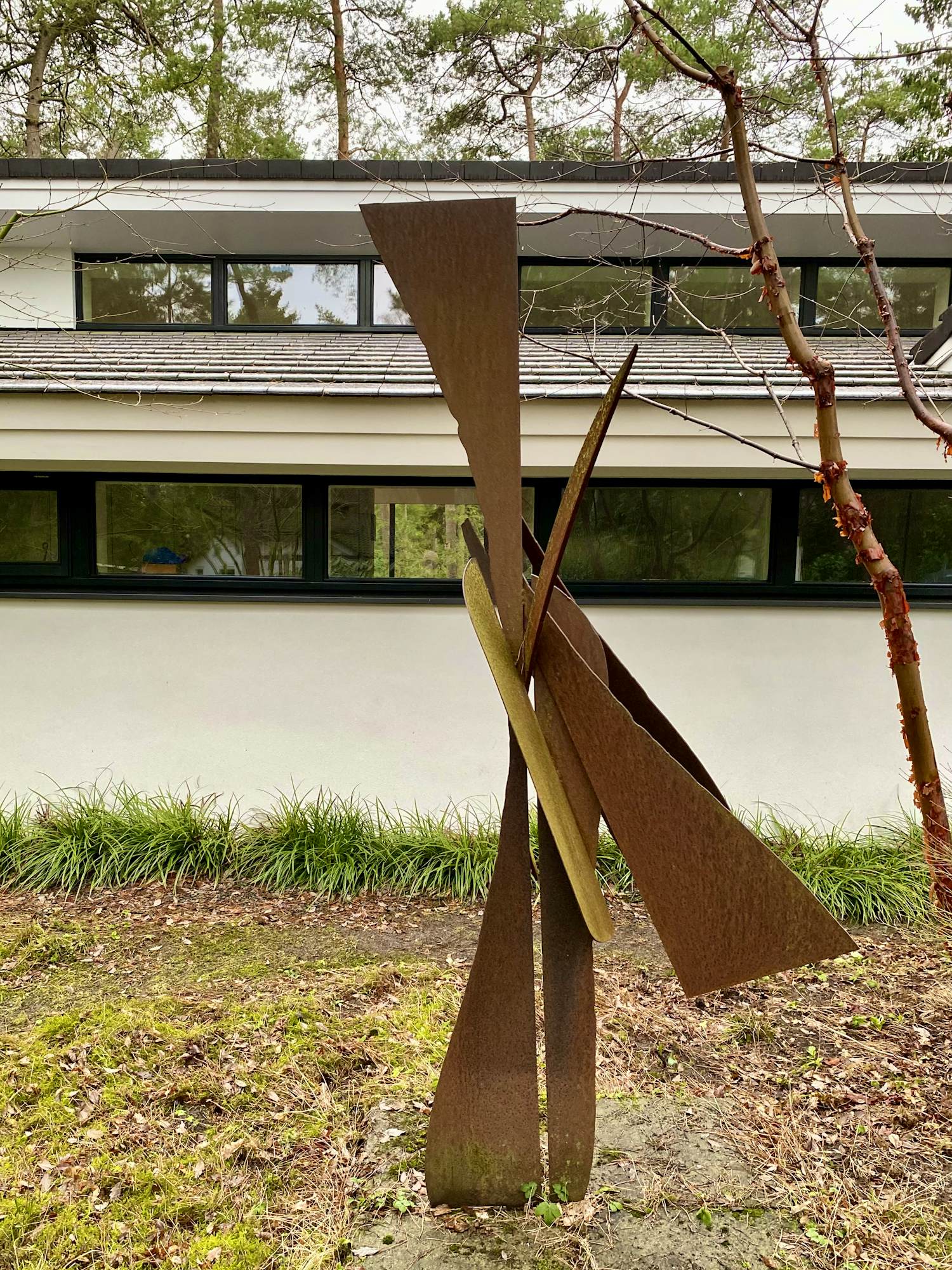 Theo Niermeijer - Vogel kopen? Bied vanaf 2000!