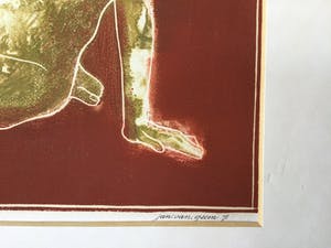 Jan van Geem - Berusting | Kleurenlino uit 1971 (ingelijst) kopen? Bied vanaf 29!