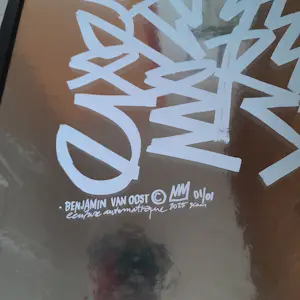 Benjamin Van Oost - SHINING WHITE kopen? Bied vanaf 395!