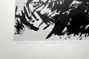 Bob Kemper - Storm kopen? Bied vanaf 35!