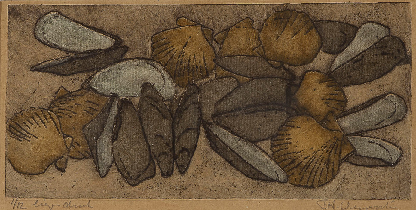 Frans Verpoorten - Schelpen - Ets en aquatint op papier - gesigneerd - oplage 1/12 - BKR Haarlem kopen? Bied vanaf 10!