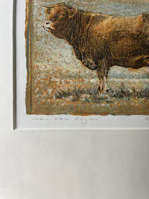 Han van Hagen - Stieren kopen? Bied vanaf 100!