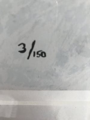 Nico Molenkamp - Vogel kopen? Bied vanaf 140!