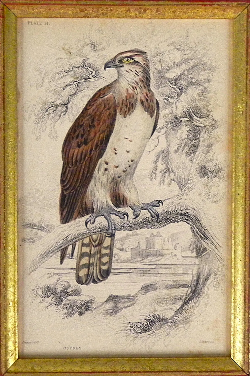 Edward Lear (1812-1888)