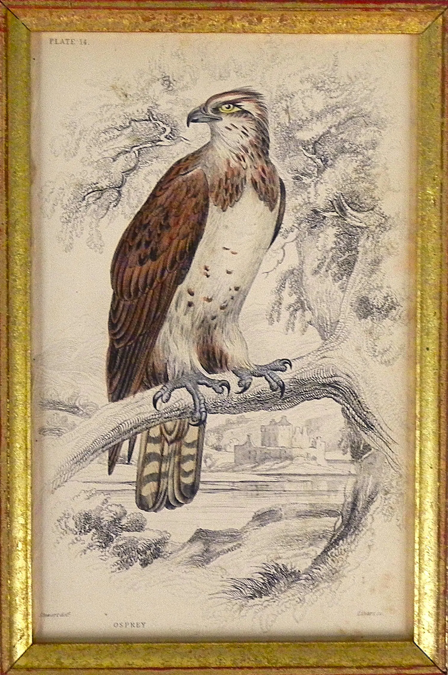 Edward Lear (1812-1888)