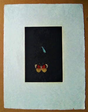 Tomoe Yokoi - Kleurenets - "Two Butterflies" - Handgesigneerd kopen? Bied vanaf 50!