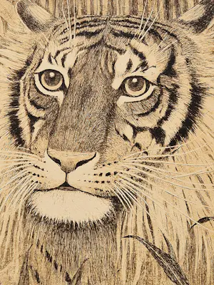 Henri Verstijnen - omstreeks 1930 - fraai gedetailleerde ETS "Tijgerkop" potloodgesigneerd kopen? Bied vanaf 35!